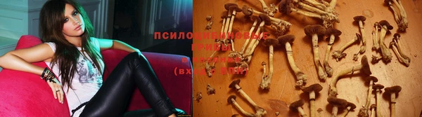 мефедрон Гусиноозёрск
