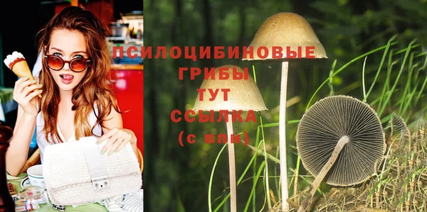 mix Гусев