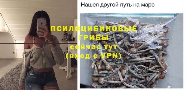 mix Гусев