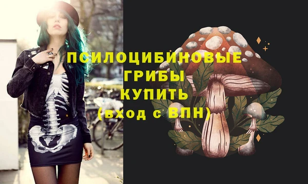 мефедрон Гусиноозёрск