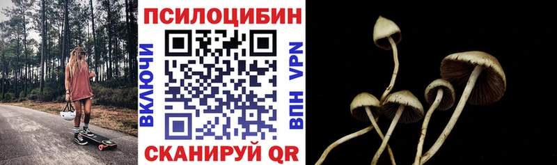 Купить  Чаплыгин  Псилоцибиновые грибы MAGIC MUSHROOMS 